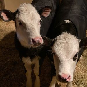 Meet your Posher, Lona